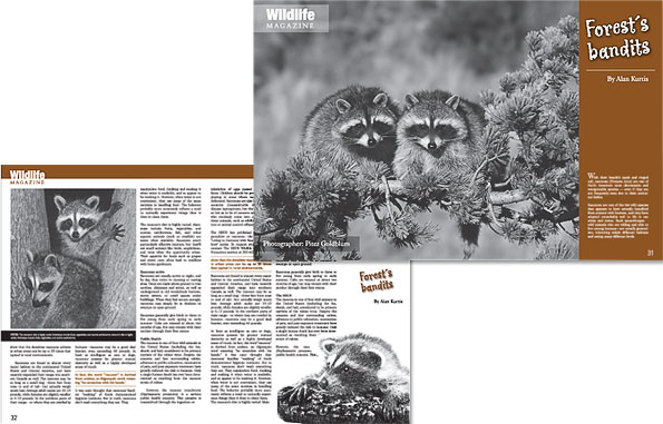 Wildlife magazine