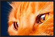 photoshop curso en Barcelona